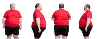 stubborn belly fat profile