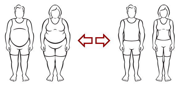 fat versus thin